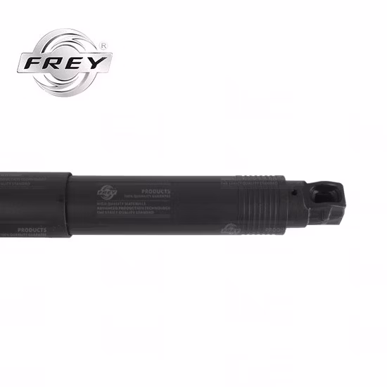 자동차 자동차 부품 파워 뒷문 BMW E71 OE 51247332698 용 전기 우측 뒷문 스트럿 가스 스프링